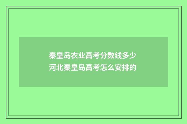 秦皇岛农业高考分数线多少 河北秦皇岛高考怎么安排的