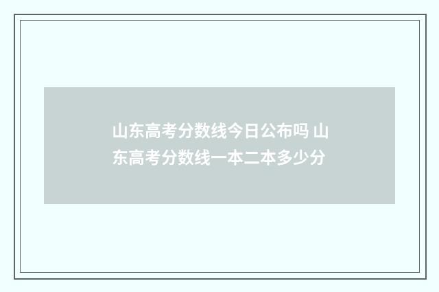 山东高考分数线今日公布吗 山东高考分数线一本二本多少分