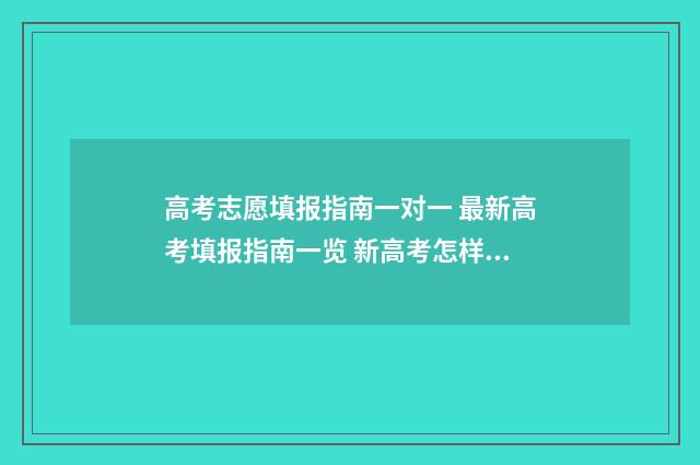 高考志愿填报指南一对一 最新高考填报指南一览 新高考怎样填报志愿