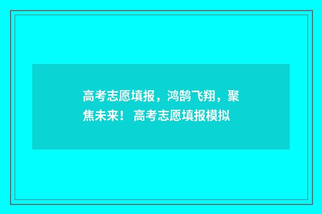 高考志愿填报，鸿鹄飞翔，聚焦未来！ 高考志愿填报模拟