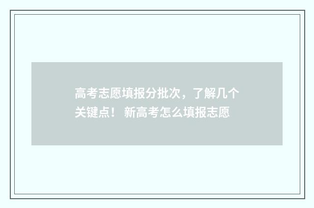 高考志愿填报分批次，了解几个关键点！ 新高考怎么填报志愿