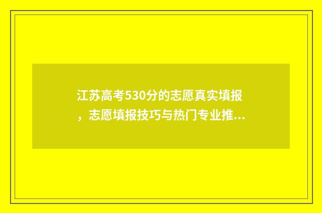 江苏高考530分的志愿真实填报，志愿填报技巧与热门专业推荐 江苏高考成绩530考什么