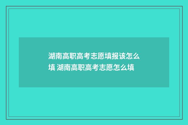 湖南高职高考志愿填报该怎么填 湖南高职高考志愿怎么填
