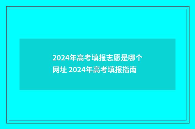 2024年高考填报志愿是哪个网址 2024年高考填报指南