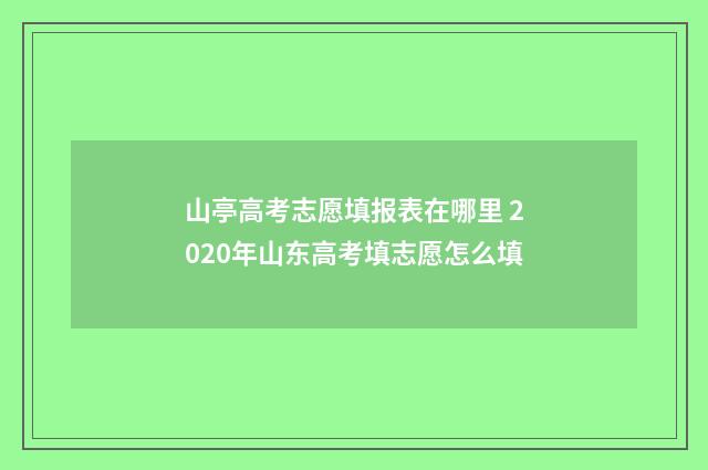 山亭高考志愿填报表在哪里 2020年山东高考填志愿怎么填