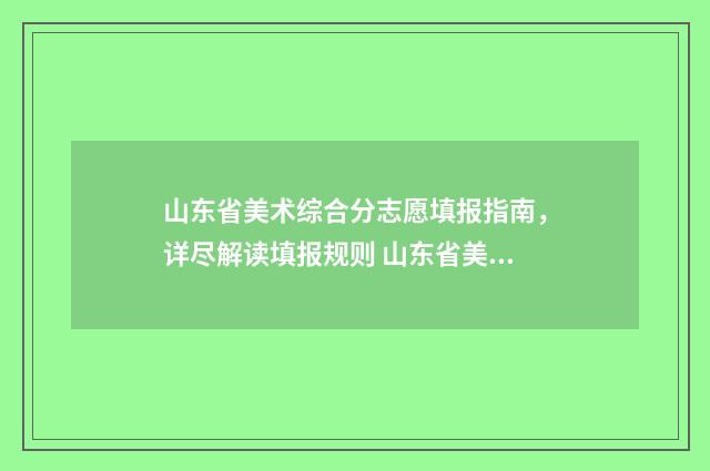 山东省美术综合分志愿填报指南，详尽解读填报规则 山东省美术综合分一分一段表2024