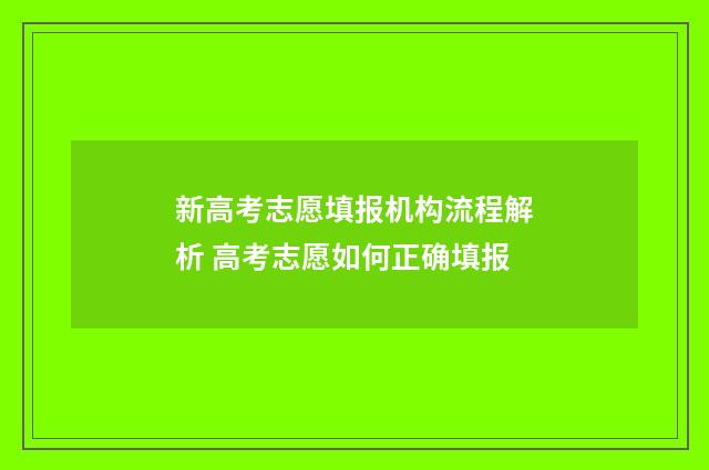 新高考志愿填报机构流程解析 高考志愿如何正确填报