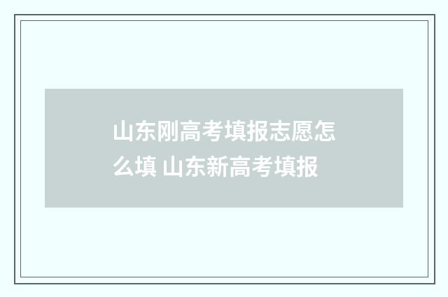 山东刚高考填报志愿怎么填 山东新高考填报
