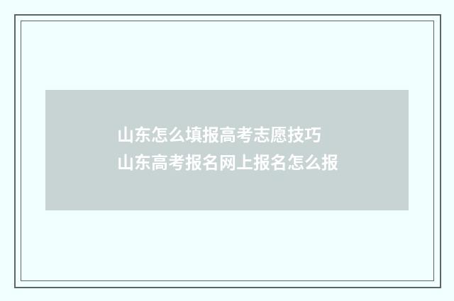 山东怎么填报高考志愿技巧 山东高考报名网上报名怎么报