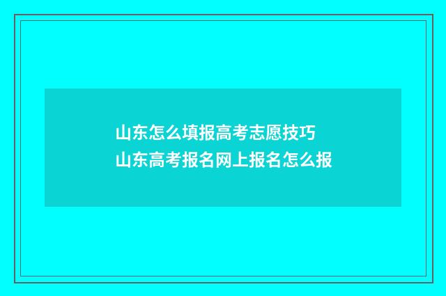 山东怎么填报高考志愿技巧 山东高考报名网上报名怎么报