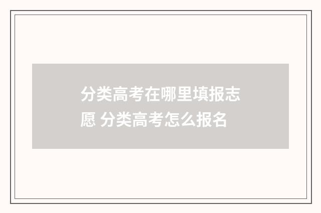 分类高考在哪里填报志愿 分类高考怎么报名