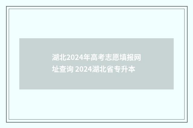 湖北2024年高考志愿填报网址查询 2024湖北省专升本