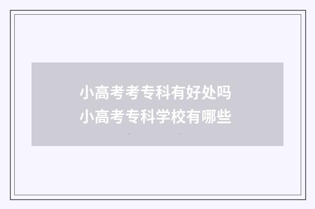 小高考考专科有好处吗 小高考专科学校有哪些