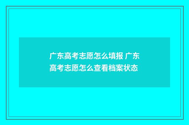 广东高考志愿怎么填报 广东高考志愿怎么查看档案状态