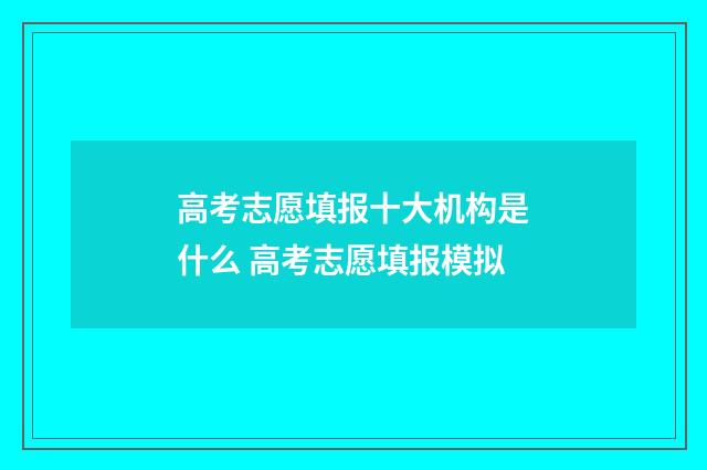 高考志愿填报十大机构是什么 高考志愿填报模拟