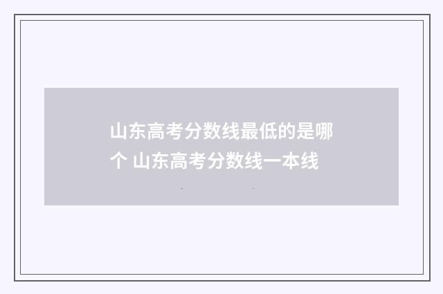 山东高考分数线最低的是哪个 山东高考分数线一本线