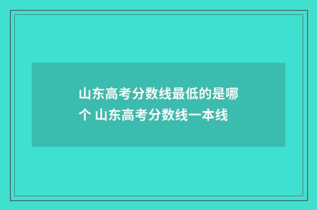 山东高考分数线最低的是哪个 山东高考分数线一本线