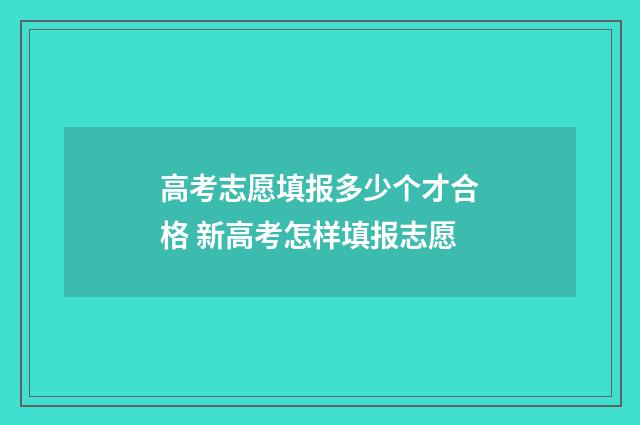 高考志愿填报多少个才合格 新高考怎样填报志愿
