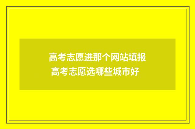 高考志愿进那个网站填报 高考志愿选哪些城市好