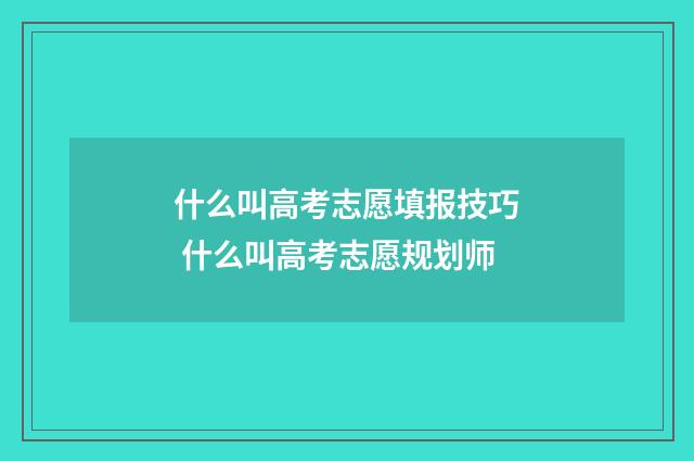 什么叫高考志愿填报技巧 什么叫高考志愿规划师