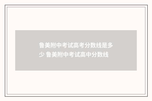 鲁美附中考试高考分数线是多少 鲁美附中考试高中分数线