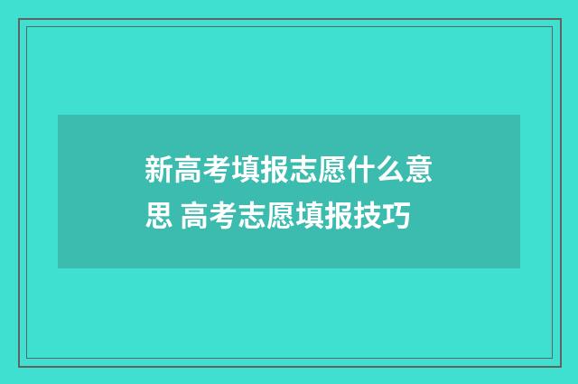 新高考填报志愿什么意思 高考志愿填报技巧