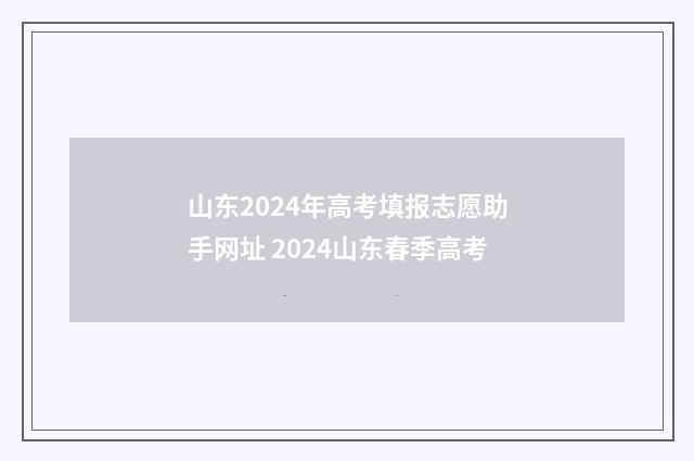 山东2024年高考填报志愿助手网址 2024山东春季高考