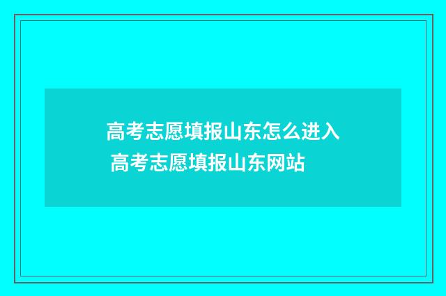 高考志愿填报山东怎么进入 高考志愿填报山东网站