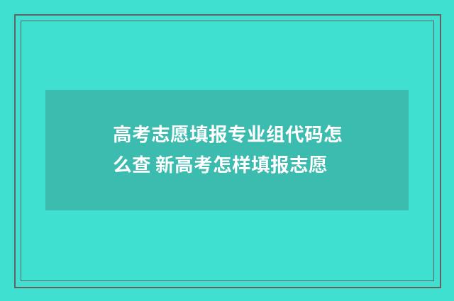 高考志愿填报专业组代码怎么查 新高考怎样填报志愿