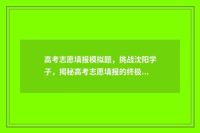 高考志愿填报模拟题，挑战沈阳学子，揭秘高考志愿填报的终极奥秘！ 高考志愿填报模拟表样本