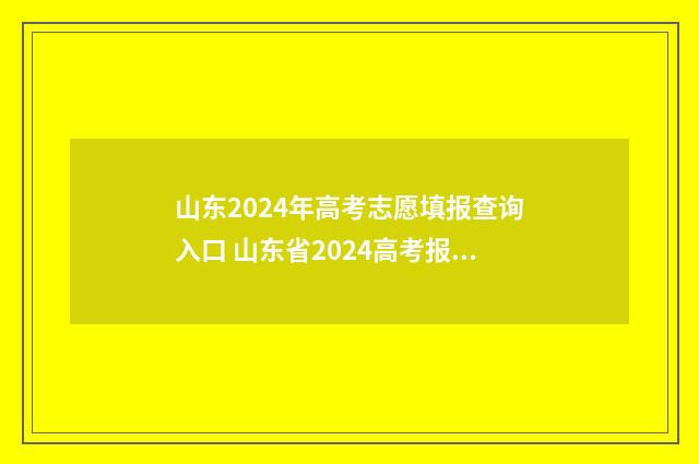山东2024年高考志愿填报查询入口 山东省2024高考报名网站入口官网
