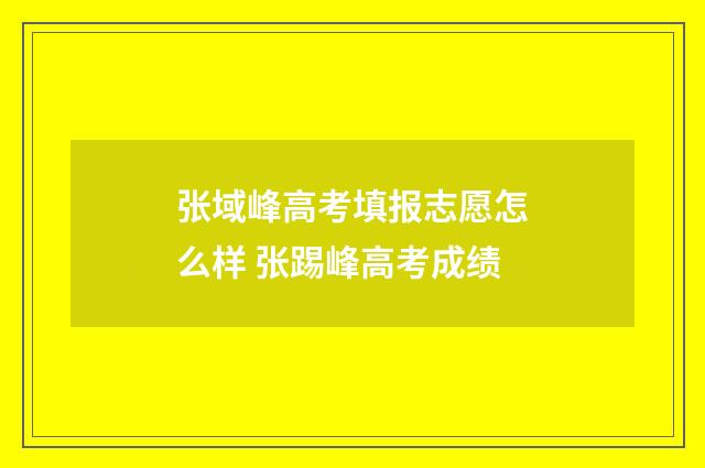 张域峰高考填报志愿怎么样 张踢峰高考成绩
