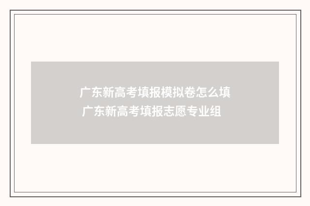 广东新高考填报模拟卷怎么填 广东新高考填报志愿专业组