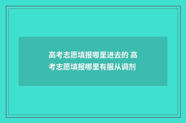 高考志愿填报哪里进去的 高考志愿填报哪里有服从调剂