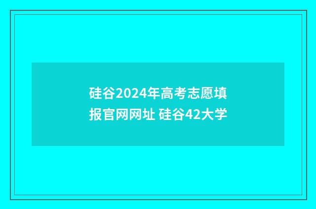 硅谷2024年高考志愿填报官网网址 硅谷42大学