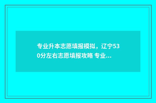专业升本志愿填报模拟,辽宁530分左右志愿填报攻略 专业升本志愿填什么好