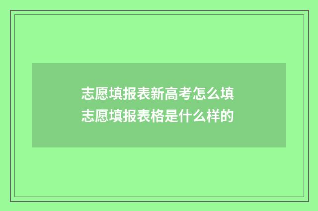 志愿填报表新高考怎么填 志愿填报表格是什么样的