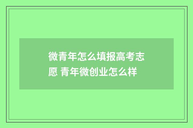 微青年怎么填报高考志愿 青年微创业怎么样