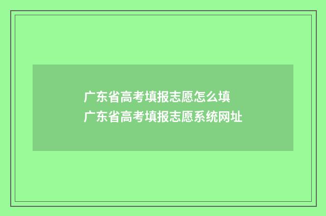 广东省高考填报志愿怎么填 广东省高考填报志愿系统网址