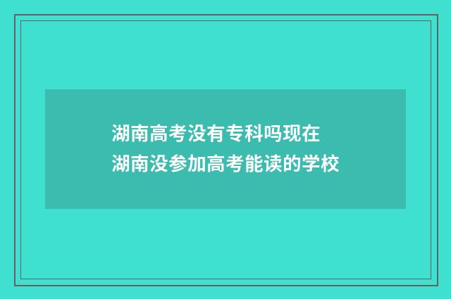湖南高考没有专科吗现在 湖南没参加高考能读的学校