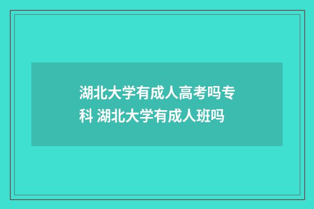 湖北大学有成人高考吗专科 湖北大学有成人班吗