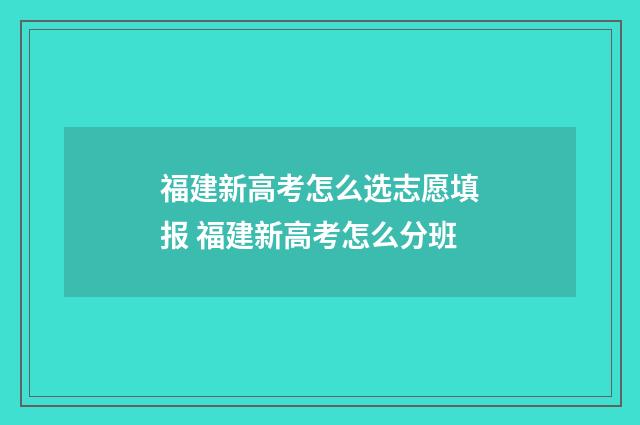 福建新高考怎么选志愿填报 福建新高考怎么分班