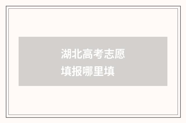 湖北高考志愿填报哪里填