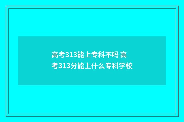 高考313能上专科不吗 高考313分能上什么专科学校