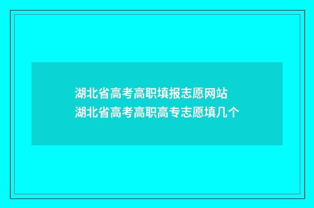 湖北省高考高职填报志愿网站 湖北省高考高职高专志愿填几个