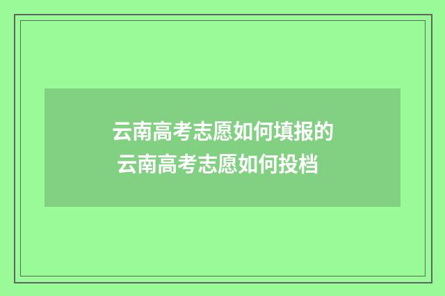 云南高考志愿如何填报的 云南高考志愿如何投档