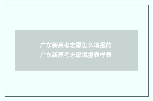 广东新高考志愿怎么填报的 广东新高考志愿填报表样表