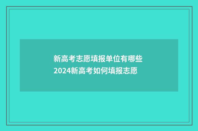 新高考志愿填报单位有哪些 2024新高考如何填报志愿