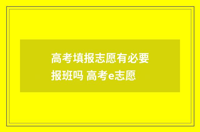 高考填报志愿有必要报班吗 高考e志愿