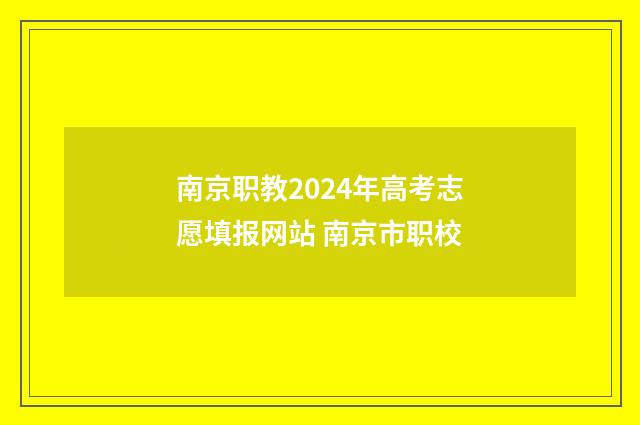 南京职教2024年高考志愿填报网站 南京市职校